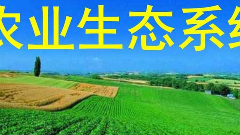 选择果蔬配送供应商时，首先要关注其品质保障。优质供应商应具备以下特点：