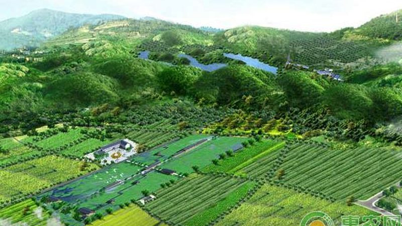 土壤板结修复：破解农田难题，恢复土壤活力