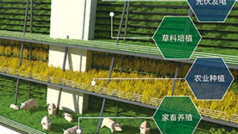 家庭农场生态养殖方案价格