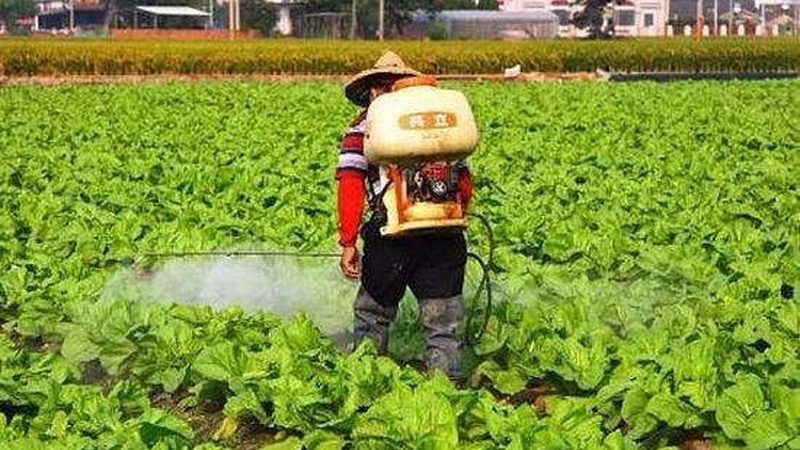 家庭农场注册费用主要包括以下几个方面：