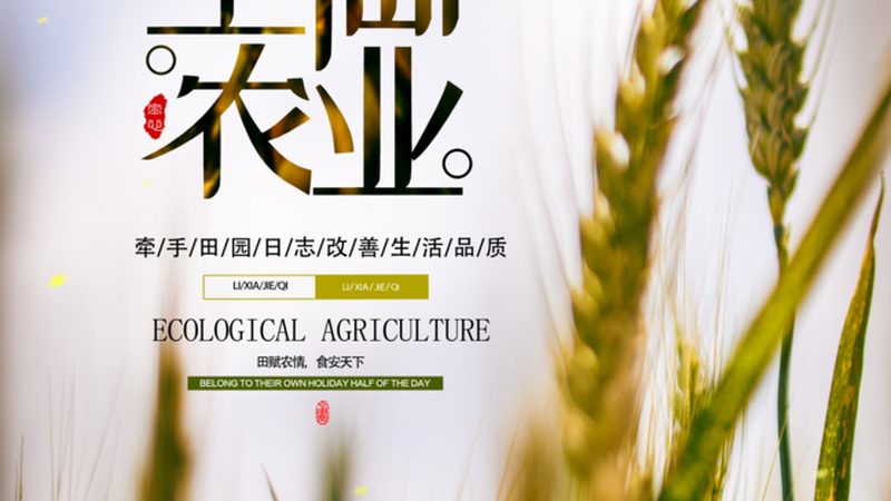 粮食种植机械配件：批发市场的选品指南**